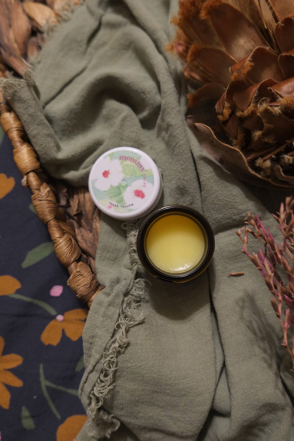 Mommy Salve | Nipple Relief & Protection